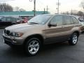 Kalahari Beige Metallic - X5 3.0i Photo No. 4