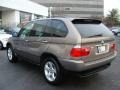 Kalahari Beige Metallic - X5 3.0i Photo No. 6