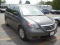 Nimbus Gray Metallic - Odyssey LX Photo No. 1