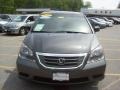 Nimbus Gray Metallic - Odyssey LX Photo No. 3