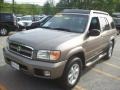 Bronzed Gray Metallic - Pathfinder SE 4x4 Photo No. 20