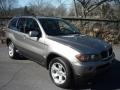 2006 Sterling Grey Metallic BMW X5 3.0i  photo #1