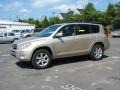 2007 Savannah Metallic Toyota RAV4 Limited 4WD  photo #4