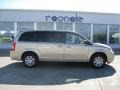 2010 Light Sandstone Metallic Chrysler Town & Country LX  photo #20