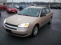 Light Driftwood Metallic - Malibu Sedan Photo No. 1