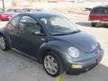Platinum Grey Metallic - New Beetle GLX 1.8T Coupe Photo No. 3