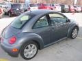 Platinum Grey Metallic - New Beetle GLX 1.8T Coupe Photo No. 10