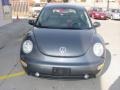 Platinum Grey Metallic - New Beetle GLX 1.8T Coupe Photo No. 12
