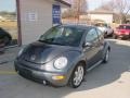 Platinum Grey Metallic - New Beetle GLX 1.8T Coupe Photo No. 13