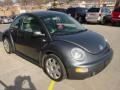 Platinum Grey Metallic - New Beetle GLX 1.8T Coupe Photo No. 19