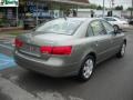 2010 Natural Khaki Hyundai Sonata GLS  photo #3