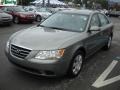Natural Khaki - Sonata GLS Photo No. 14