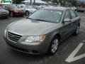 2010 Natural Khaki Hyundai Sonata GLS  photo #14