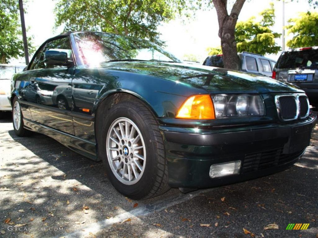 Fern Green Metallic BMW 3 Series