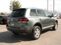 Reed Green Metallic - Touareg 2 VR6 Photo No. 5