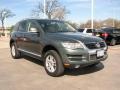 Reed Green Metallic - Touareg 2 VR6 Photo No. 7