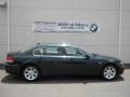 2008 Deep Green Metallic BMW 7 Series 750Li Sedan  photo #23