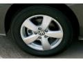 Meteor Gray Metallic - Routan SE Photo No. 11