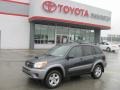 Flint Mica 2004 Toyota RAV4 4WD