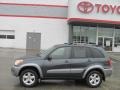 Flint Mica - RAV4 4WD Photo No. 2