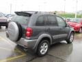 Flint Mica - RAV4 4WD Photo No. 6