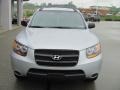 Bright Silver - Santa Fe GLS 4WD Photo No. 10