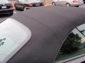 Black - CLK 350 Cabriolet Photo No. 22