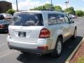 2007 Iridium Silver Metallic Mercedes-Benz GL 450  photo #11