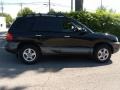 2002 Black Obsidian Hyundai Santa Fe LX AWD  photo #5