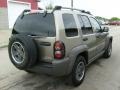 2006 Light Khaki Metallic Jeep Liberty Renegade 4x4  photo #5