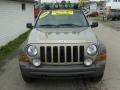 Light Khaki Metallic - Liberty Renegade 4x4 Photo No. 7