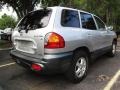 Pewter - Santa Fe GLS AWD Photo No. 2