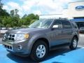 2010 Sterling Grey Metallic Ford Escape Limited V6  photo #1
