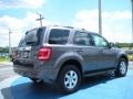 2010 Sterling Grey Metallic Ford Escape Limited V6  photo #3