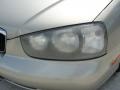 2002 Champagne Beige Hyundai Elantra GLS Sedan  photo #9