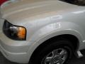 2006 Cashmere Tri-Coat Metallic Ford Expedition Limited 4x4  photo #2