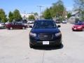 Ebony Black - Santa Fe GLS 4WD Photo No. 3