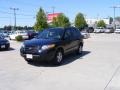 Ebony Black - Santa Fe GLS 4WD Photo No. 4