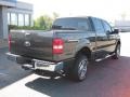 Dark Stone Metallic - F150 XLT SuperCrew 4x4 Photo No. 3