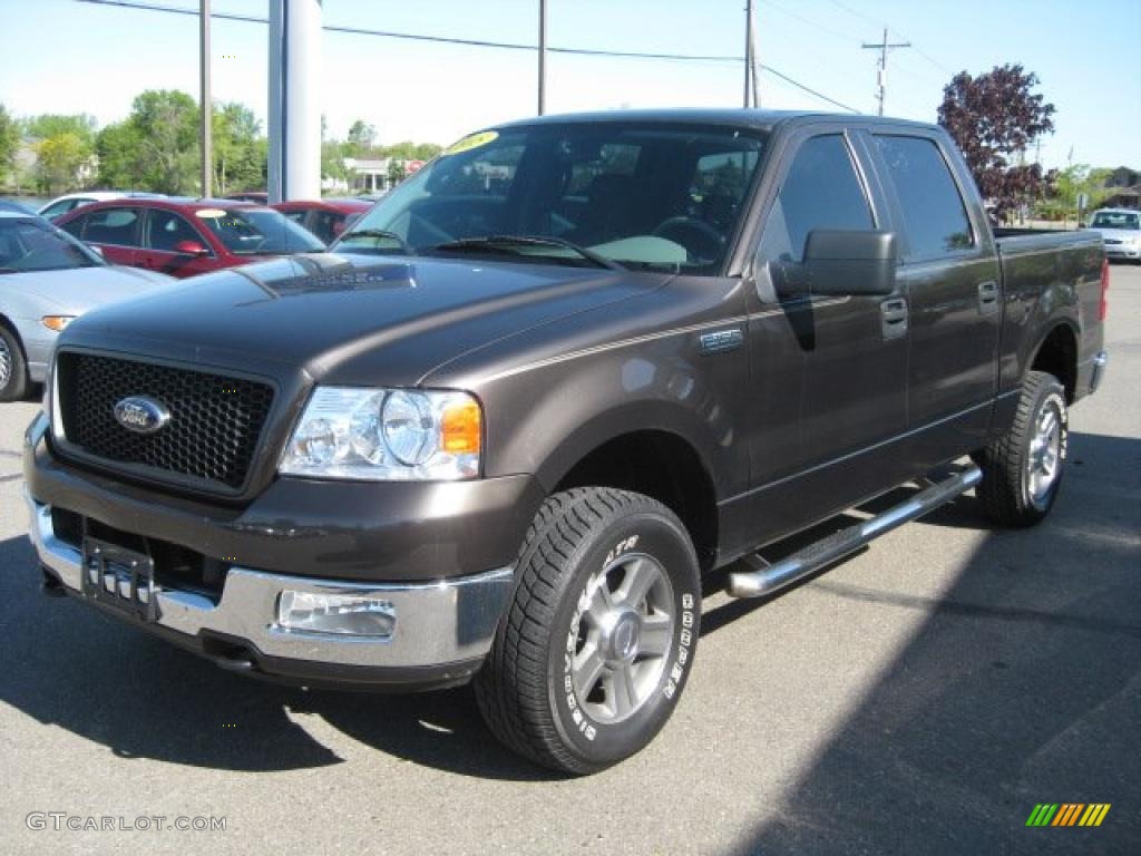 2005 F150 XLT SuperCrew 4x4 - Dark Stone Metallic / Medium Flint Grey photo #8