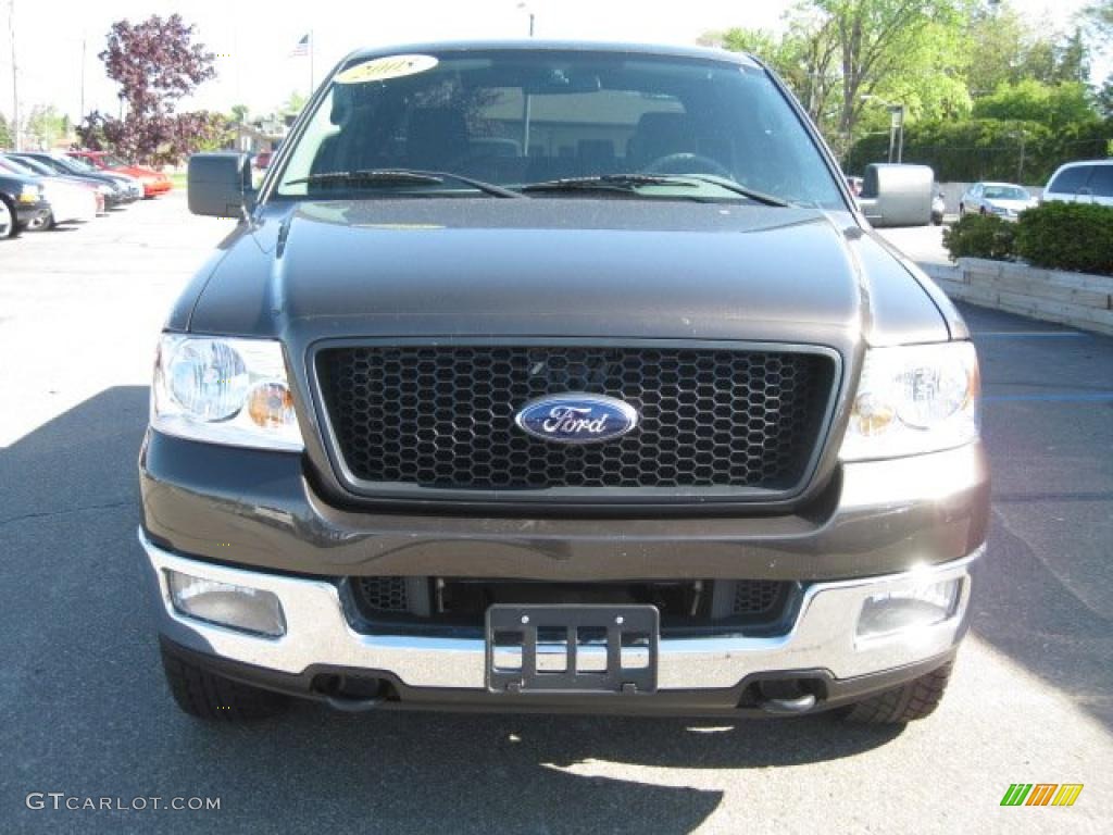 2005 F150 XLT SuperCrew 4x4 - Dark Stone Metallic / Medium Flint Grey photo #9