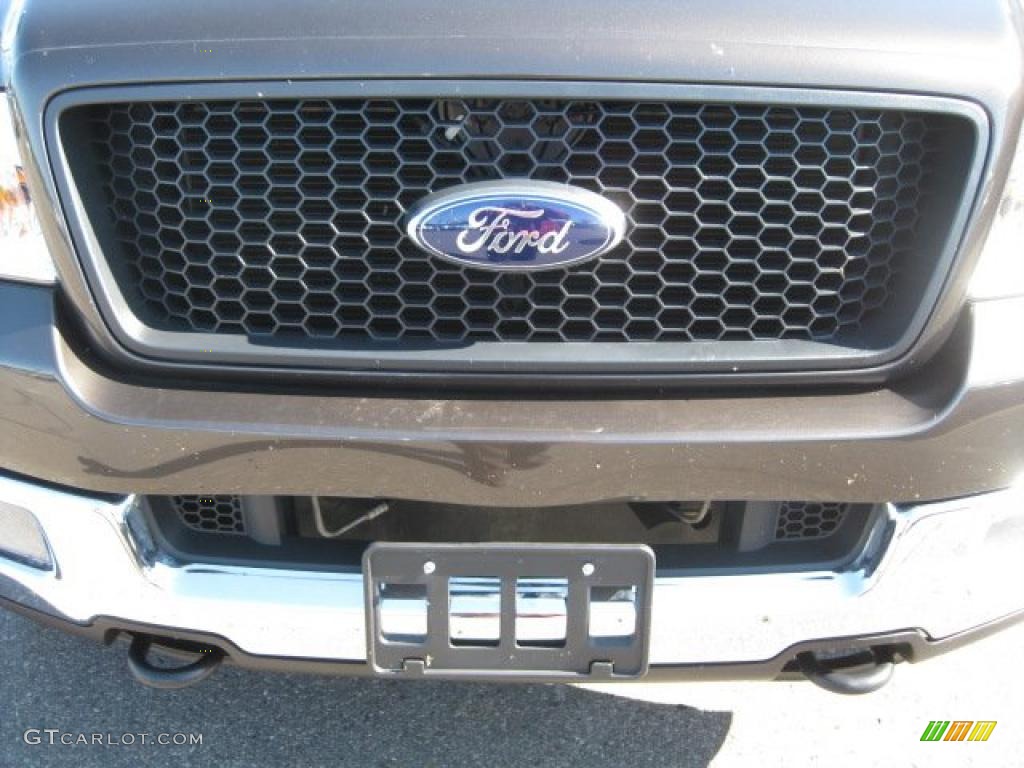 2005 F150 XLT SuperCrew 4x4 - Dark Stone Metallic / Medium Flint Grey photo #13