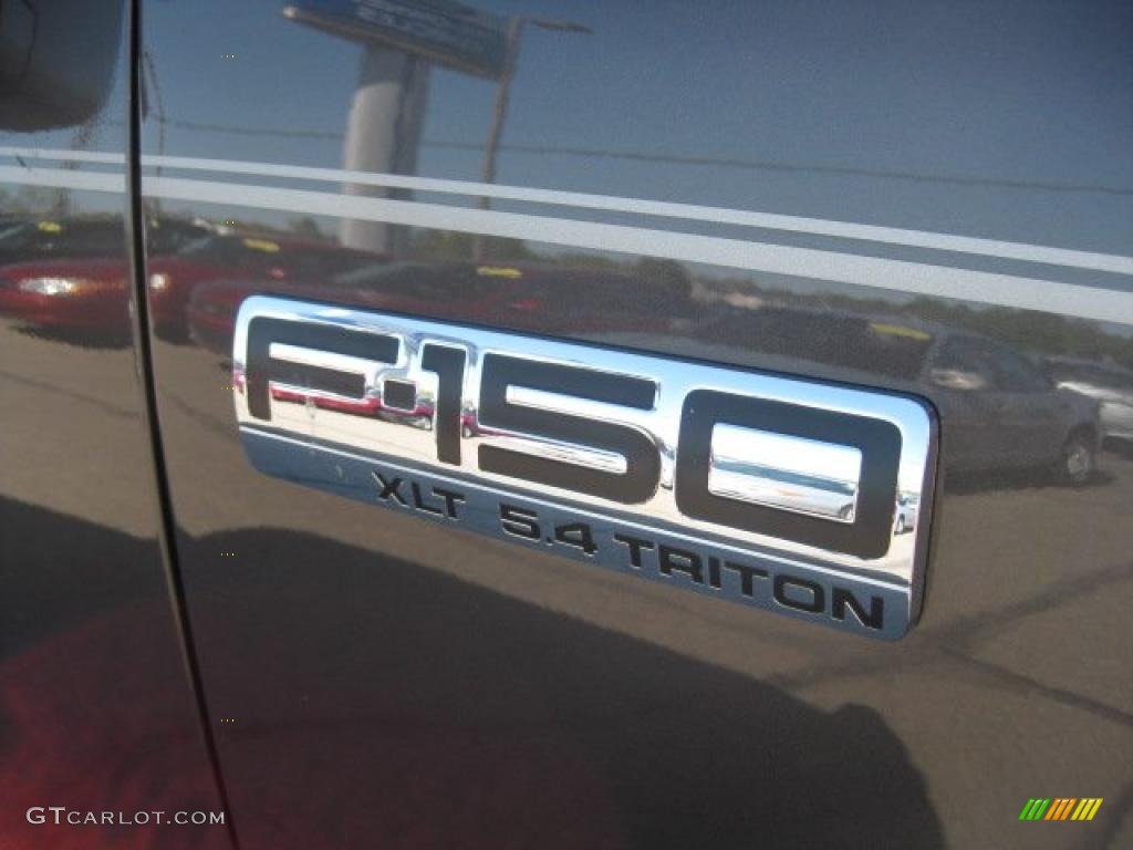 2005 F150 XLT SuperCrew 4x4 - Dark Stone Metallic / Medium Flint Grey photo #14