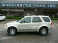 2004 Gold Ash Metallic Ford Escape Limited 4WD  photo #1
