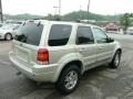 2004 Gold Ash Metallic Ford Escape Limited 4WD  photo #4