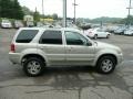 2004 Gold Ash Metallic Ford Escape Limited 4WD  photo #5