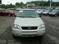 2004 Gold Ash Metallic Ford Escape Limited 4WD  photo #7