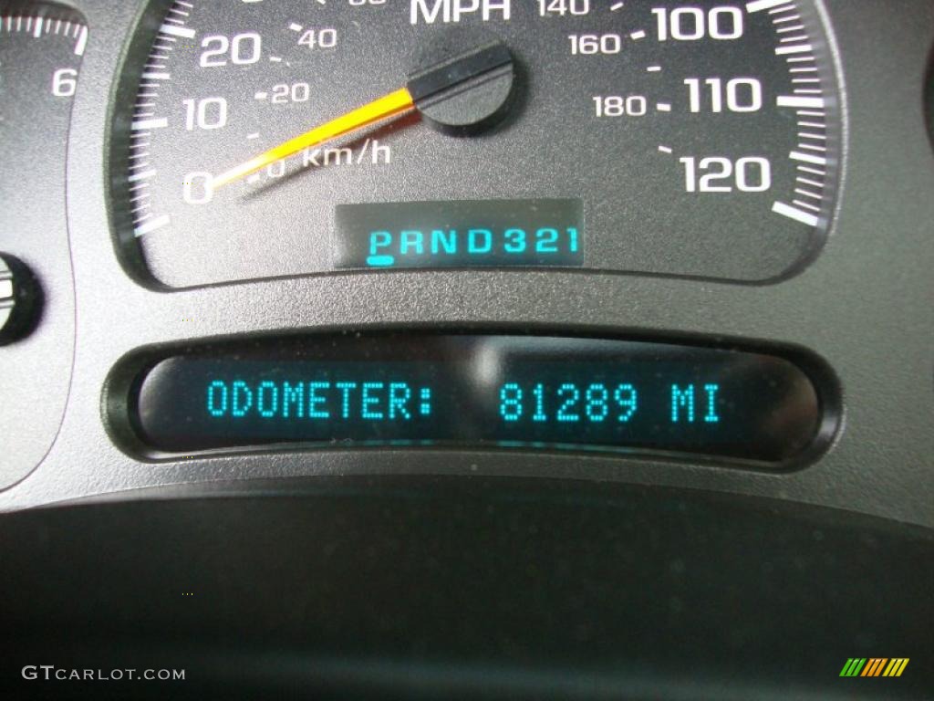 2003 Suburban 1500 Z71 4x4 - Light Pewter Metallic / Gray/Dark Charcoal photo #21