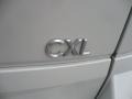 2006 Cappuccino Frost Metallic Buick Rendezvous CXL AWD  photo #13
