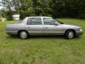 Light Driftwood Metallic - DeVille Sedan Photo No. 12